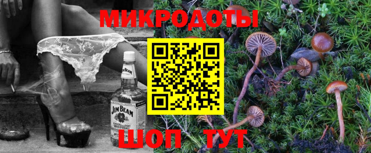 Галлюциногенные грибы ЛСД Городец